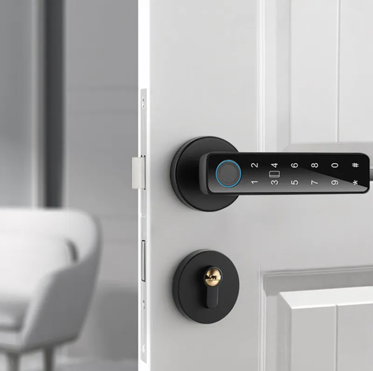 Electronic Smart Home Door Lock, Wireless Biometric Fingerprint Room Door Lock(Double Lock)